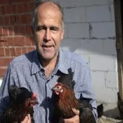 Kocaeli’de yüzde 50 hibeli tavuk desteği üreticilerin yüzünü güldürdü